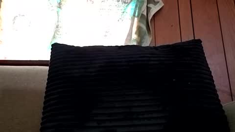 Snapshot of prettysolidd7 chatting on February 15, 2025, 12:54 pm prettysolidd7 online show from February 15, 2025, 12:54 pm