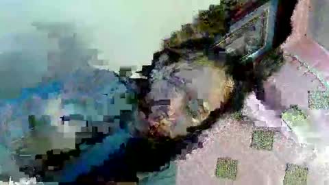  My Love online show from March 9, 2025, 4:38 am