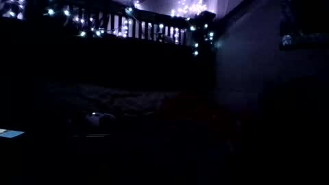 Holly love online show from November 15, 2025, 8:22 am