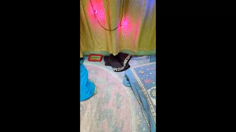 Snapshot of priyachocolaty chatting on February 9, 2026, 8:35 pm priyachocolaty online show from February 9, 2026, 8:35 pm