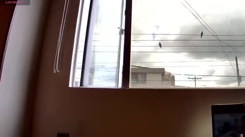 Probardetodo independent model online show from December 3, 2025, 2:15 pm