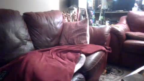 Snapshot of probody chatting on September 14, 2025, 2:16 pm MUSCLEGOD online show from September 14, 2025, 2:16 pm