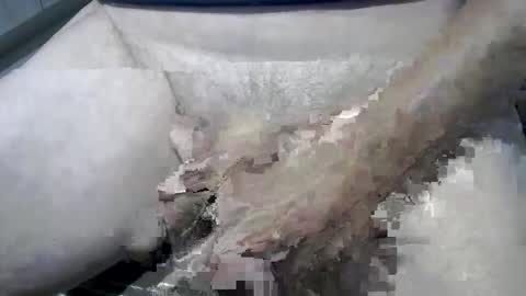 psfunman online show from February 13, 2025, 6:05 pm