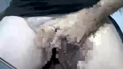 psfunman online show from February 16, 2025, 5:48 pm