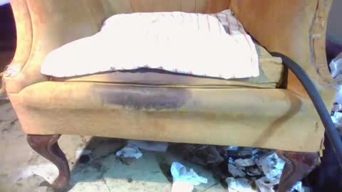 pspee313 online show from April 11, 2026, 7:45 am