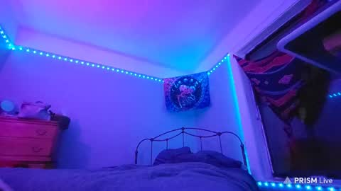 puddled_wonderland online show from January 29, 2025, 5:40 am