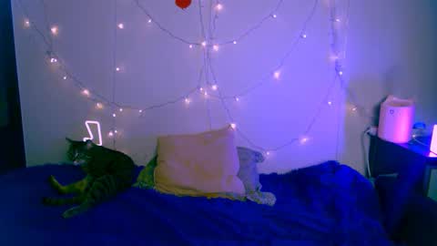 EsteticHouse online show from January 24, 2025, 5:53 pm