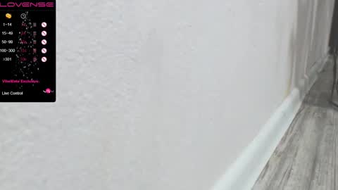 Snapshot of pussy_sladusy chatting on January 29, 2025, 9:39 pm Nina online show from January 29, 2025, 9:39 pm