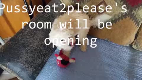 Rick online show from March 9, 2025, 6:43 pm