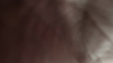 Pau Manchita online show from December 3, 2025, 10:57 am