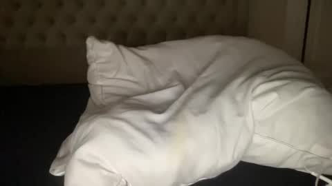 Snapshot of qlf0506 chatting on November 12, 2025, 2:01 am qlf0506 online show from November 12, 2025, 2:01 am