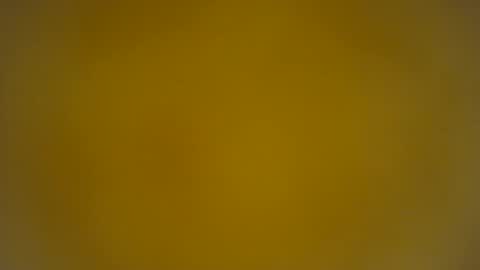 quinnxx online show from March 24, 2026, 8:19 am