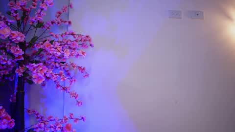 Snapshot of r4veenn chatting on January 11, 2025, 8:00 am RACHEL BLAKE online show from January 11, 2025, 8:00 am