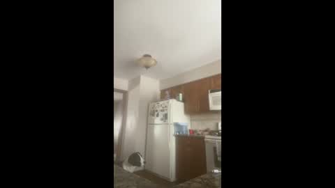 Snapshot of rabbi_poolnoodle chatting on January 16, 2026, 7:51 pm rabbi_poolnoodle online show from January 16, 2026, 7:51 pm