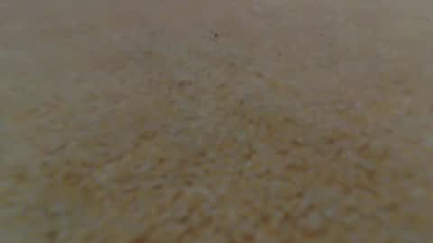 racefliege online show from January 14, 2025, 6:02 am