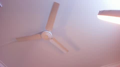 Rachel online show from January 3, 2025, 11:14 am