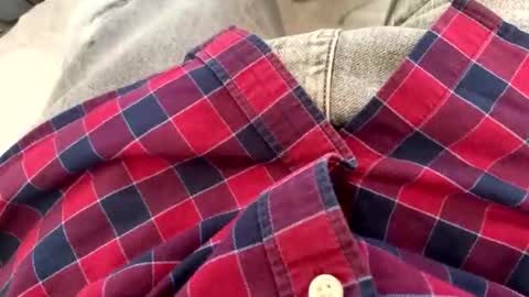 Snapshot of rad2615782 chatting on February 10, 2026, 10:19 am rad2615782 online show from February 10, 2026, 10:19 am