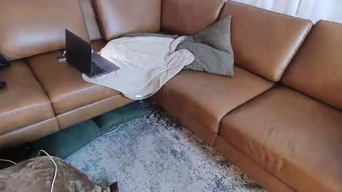 DressSock Shoe online show from May 16, 2026, 10:47 am