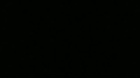 Snapshot of ragingcock315 chatting on December 10, 2024, 12:39 am hornybluecollar online show from December 10, 2024, 12:39 am