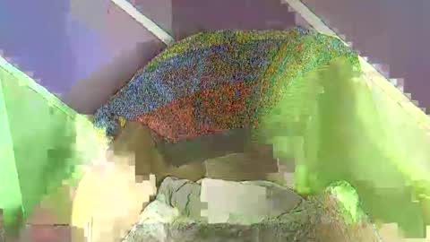 rainbow baby26 online show from November 18, 2025, 7:18 pm