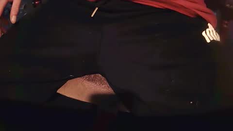 rarvet online show from April 17, 2026, 9:01 am