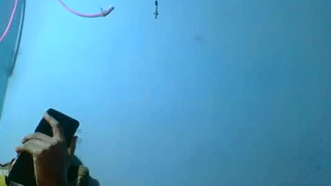 Snapshot of rasoelysca chatting on March 1, 2026, 4:47 am rasoelysca online show from March 1, 2026, 4:47 am