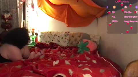 Snapshot of raspberrytommy chatting on February 6, 2025, 1:16 am Tommy online show from February 6, 2025, 1:16 am