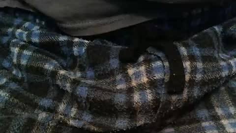 Snapshot of ratlesnk chatting on November 16, 2025, 9:37 am boneifyed online show from November 16, 2025, 9:37 am