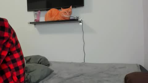 Raveneusbiter online show from February 10, 2026, 11:25 am