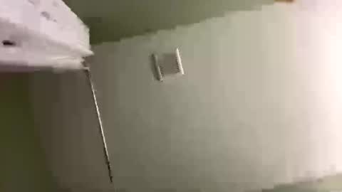 Snapshot of ravyn_xoxo chatting on December 31, 2024, 4:38 am Ravynn 3 online show from December 31, 2024, 4:38 am