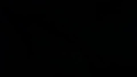 Ray  online show from January 25, 2025, 2:47 am