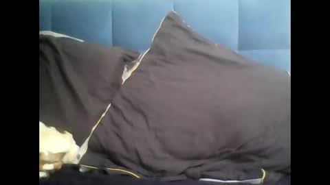 rayday_ online show from March 9, 2025, 2:10 pm