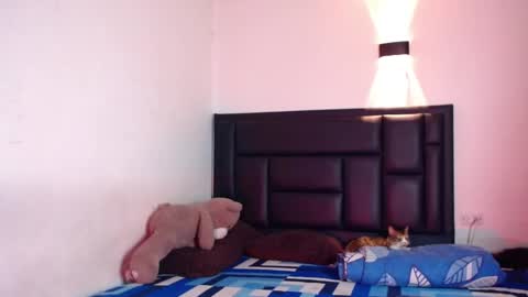 Rayn online show from October 17, 2025, 7:33 am