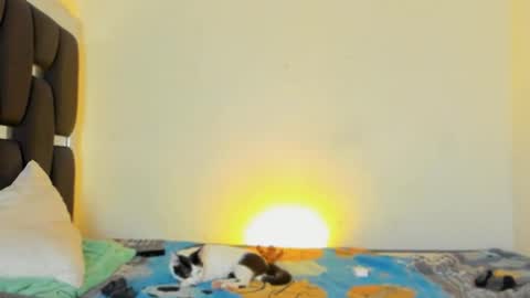 Rayn online show from November 5, 2025, 4:40 pm