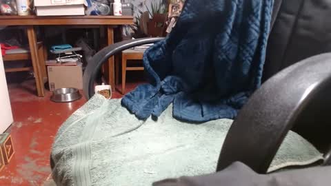 Ray online show from January 1, 2025, 1:04 am