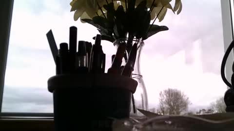 Snapshot of rdrew chatting on April 6, 2026, 3:46 pm rdrew online show from April 6, 2026, 3:46 pm