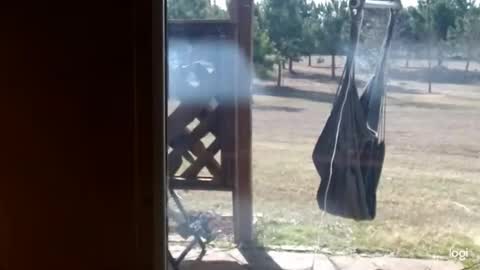 Snapshot of ready4aride2day chatting on February 18, 2026, 3:52 pm ready4aride2day online show from February 18, 2026, 3:52 pm