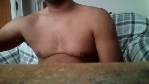 readymade1384553 online show from November 29, 2025, 2:09 pm