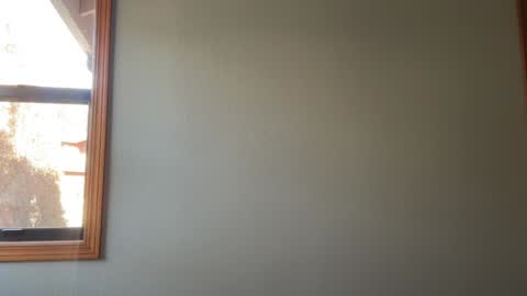 Snapshot of realjadebri chatting on January 14, 2025, 5:45 pm Jade online show from January 14, 2025, 5:45 pm