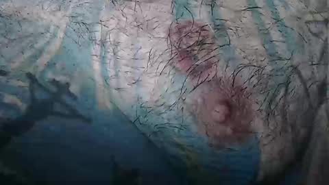 realrubpirate online show from February 2, 2026, 9:08 am