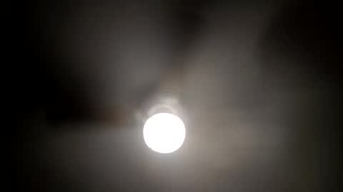 red24devils online show from January 15, 2025, 5:29 am