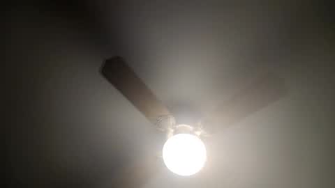 red24devils online show from February 14, 2025, 4:26 am