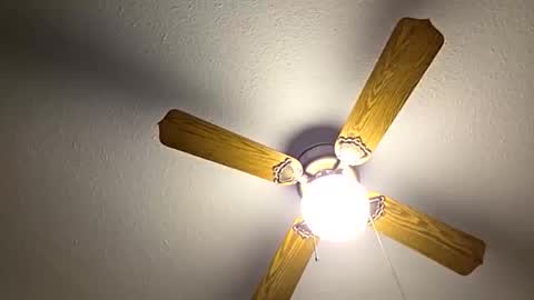 red24devils online show from October 26, 2025, 5:41 pm