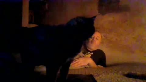 reddragon1195 online show from April 4, 2026, 4:55 am