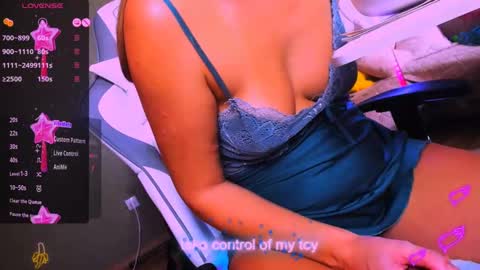 reggieMeow online show from February 26, 2025, 5:09 am