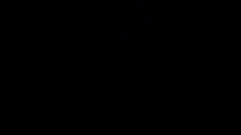 reinarica online show from April 8, 2026, 9:42 am