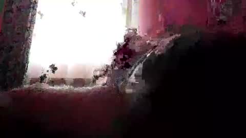 remus60 online show from February 23, 2026, 10:12 am