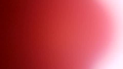 Snapshot of rhino69xx chatting on December 8, 2024, 6:54 am rhino69xx online show from December 8, 2024, 6:54 am