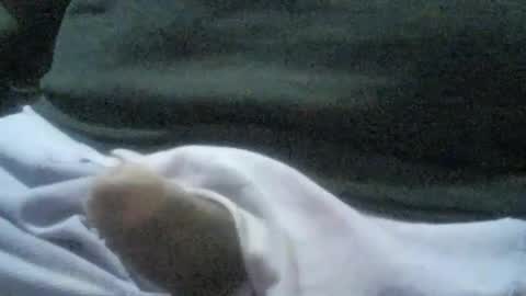 Snapshot of ricardo160291 chatting on January 6, 2025, 1:09 am ricardo160291 online show from January 6, 2025, 1:09 am