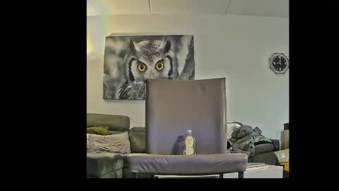 richard__076__ online show from April 3, 2026, 7:01 pm